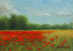 Poppy Field Study