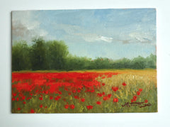 Poppy Field Study