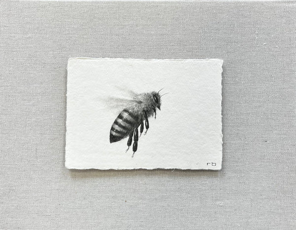 Bee II – Artist Collectives