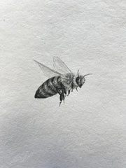 Bee IV