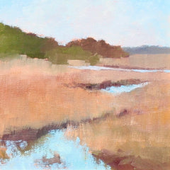 Spartina Grass