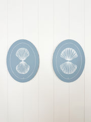 Scallop Shell Reflection