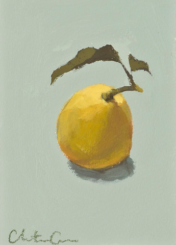 Citrus Study 3, Print