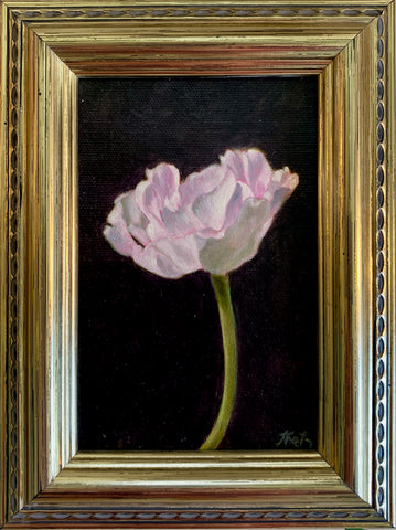 Tulip Study II