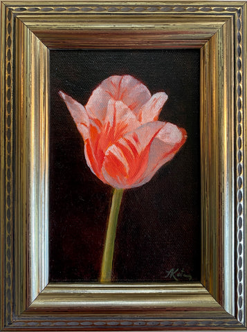 Tulip Study IV