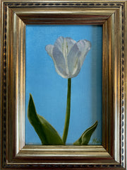 Tulip Study I
