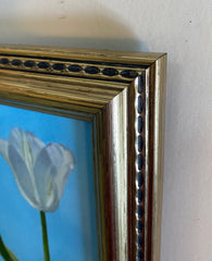 Tulip Study I