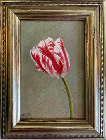 Tulip Study V