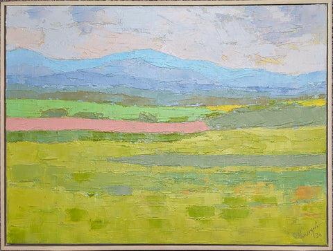 Skagit Valley