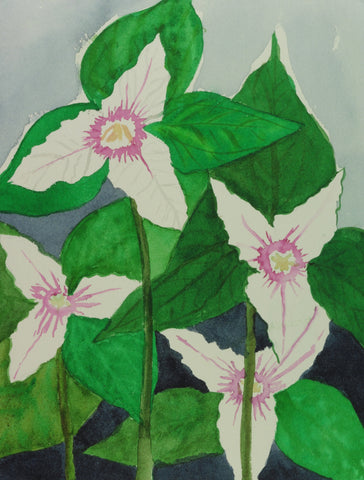 Painted Trillium Quartet