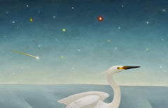 Shooting Star