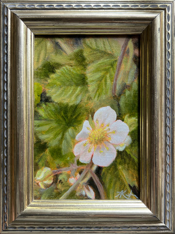 Strawberry Study I