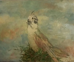The Lonely Bird