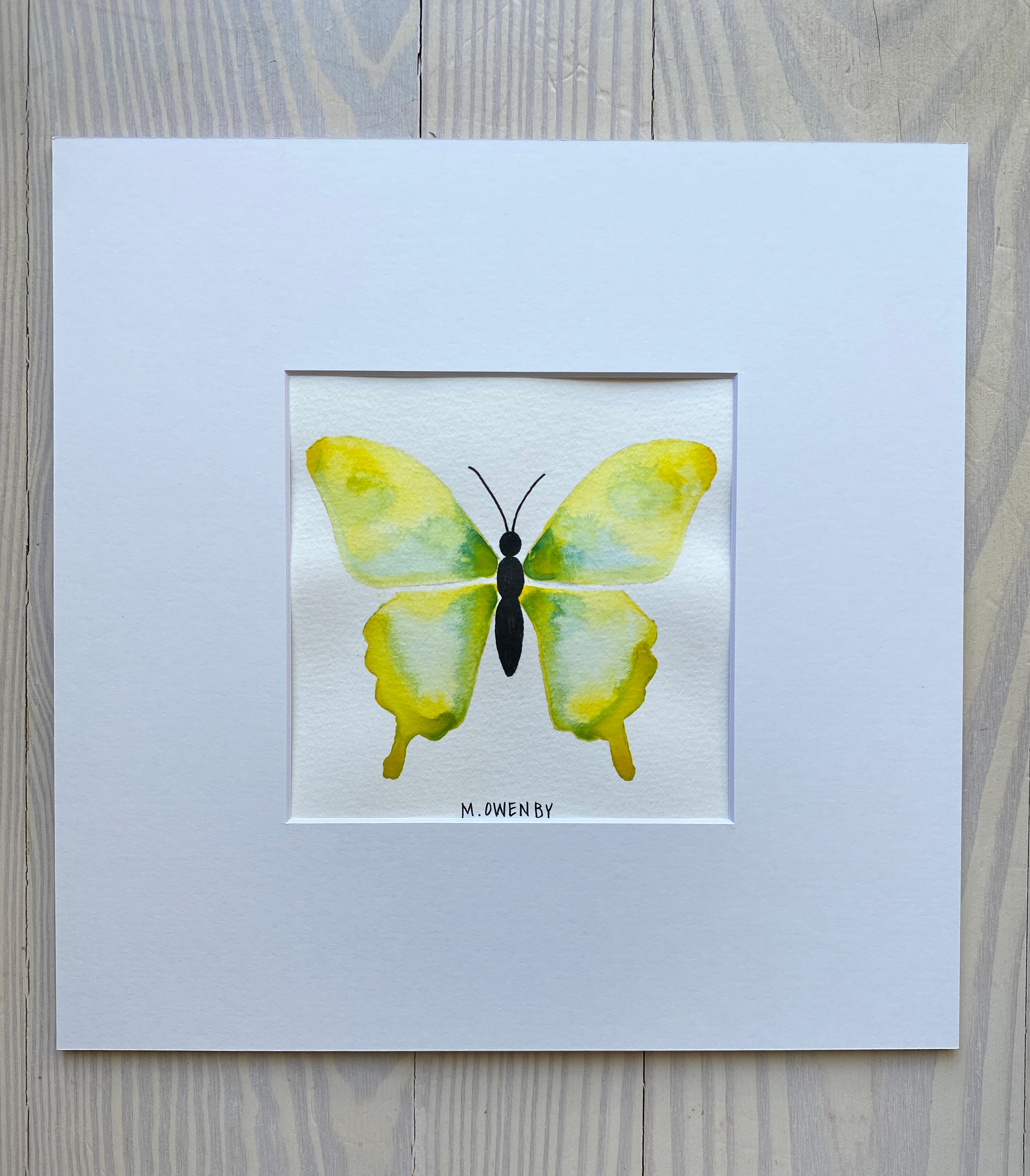 Butterfly No. 5