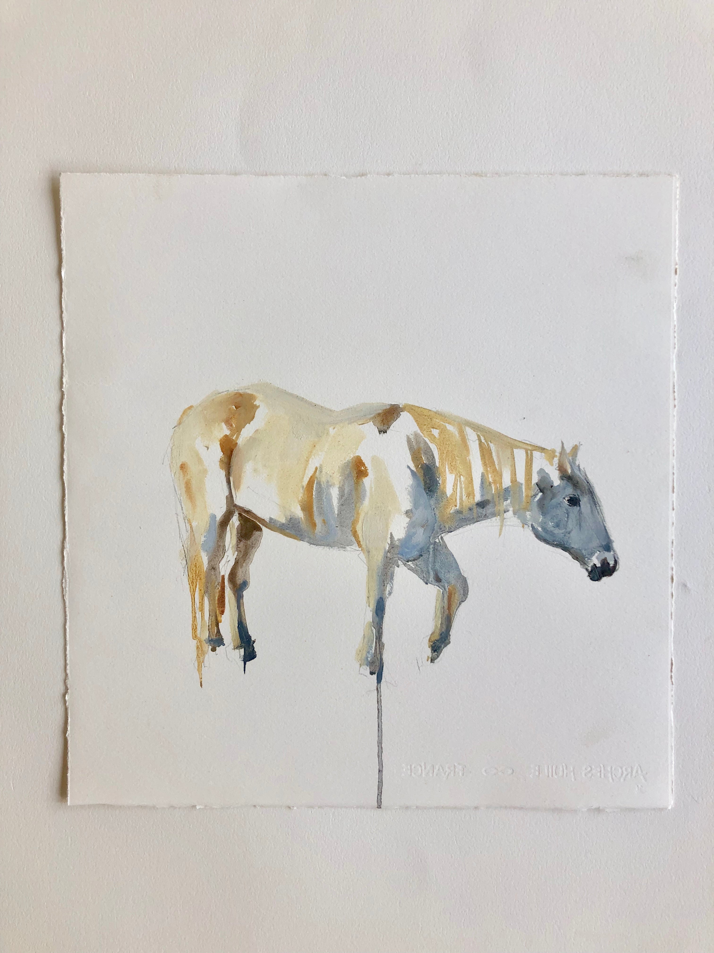A Horse Study