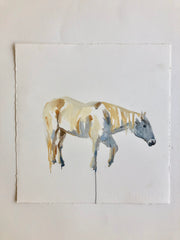 A Horse Study