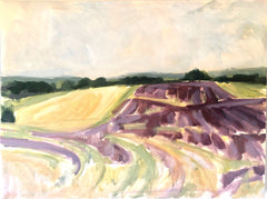 Lavender Fields