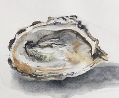 Oyster 1