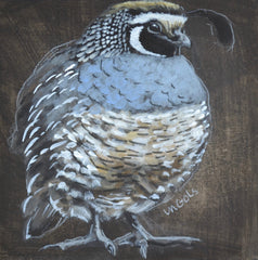 Grey Quail 1