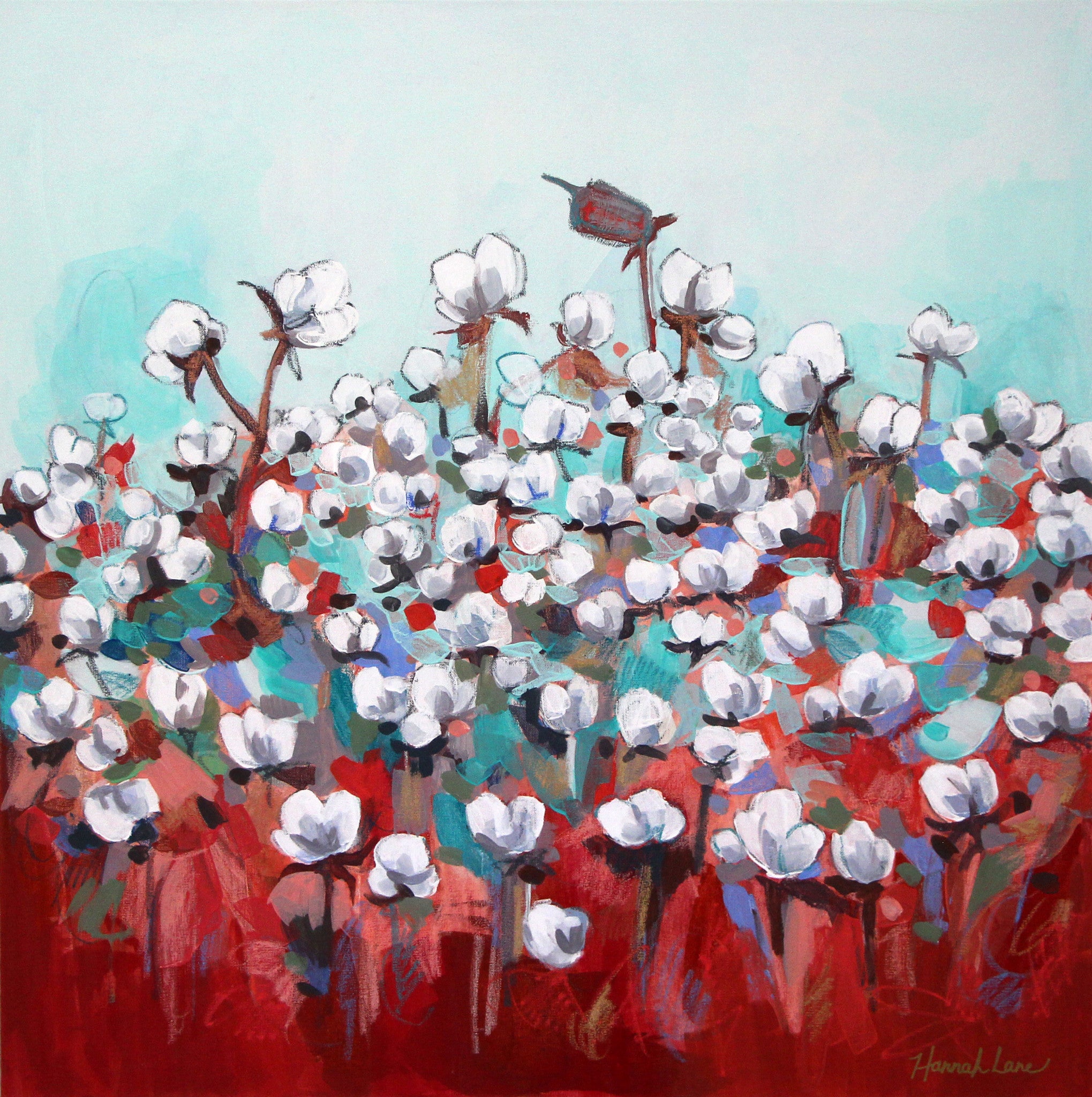 Spring Cotton