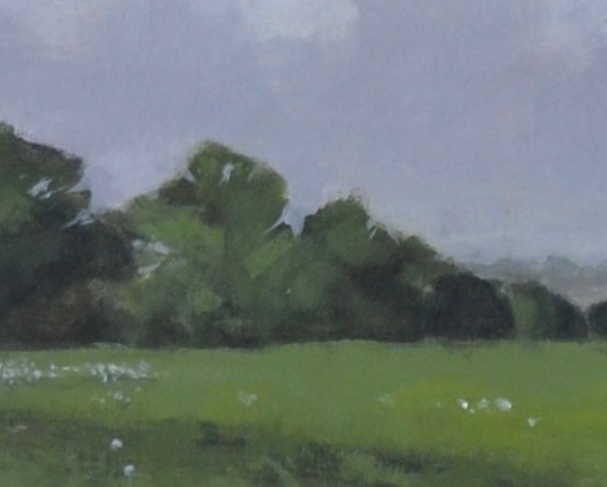 Hill Country Spring