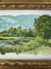 Hidden Pond