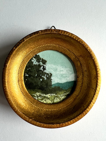 Overlook
