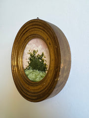 Purple Ochre I