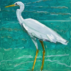 Great White Heron