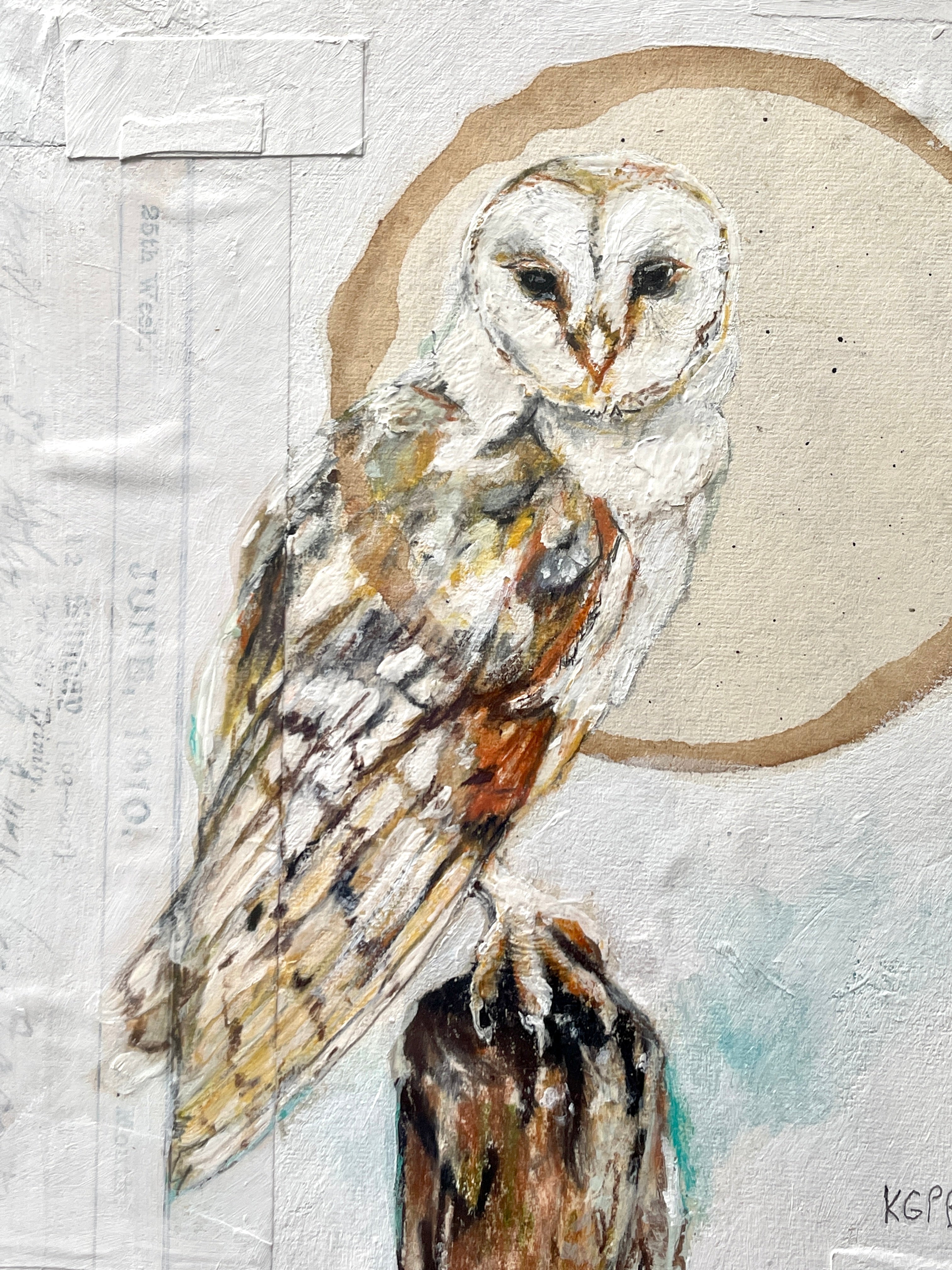 June Owl