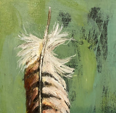 Red Tail Hawk Feather