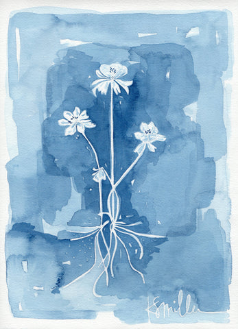 Botanical 016
