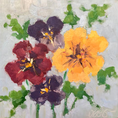 Pansy