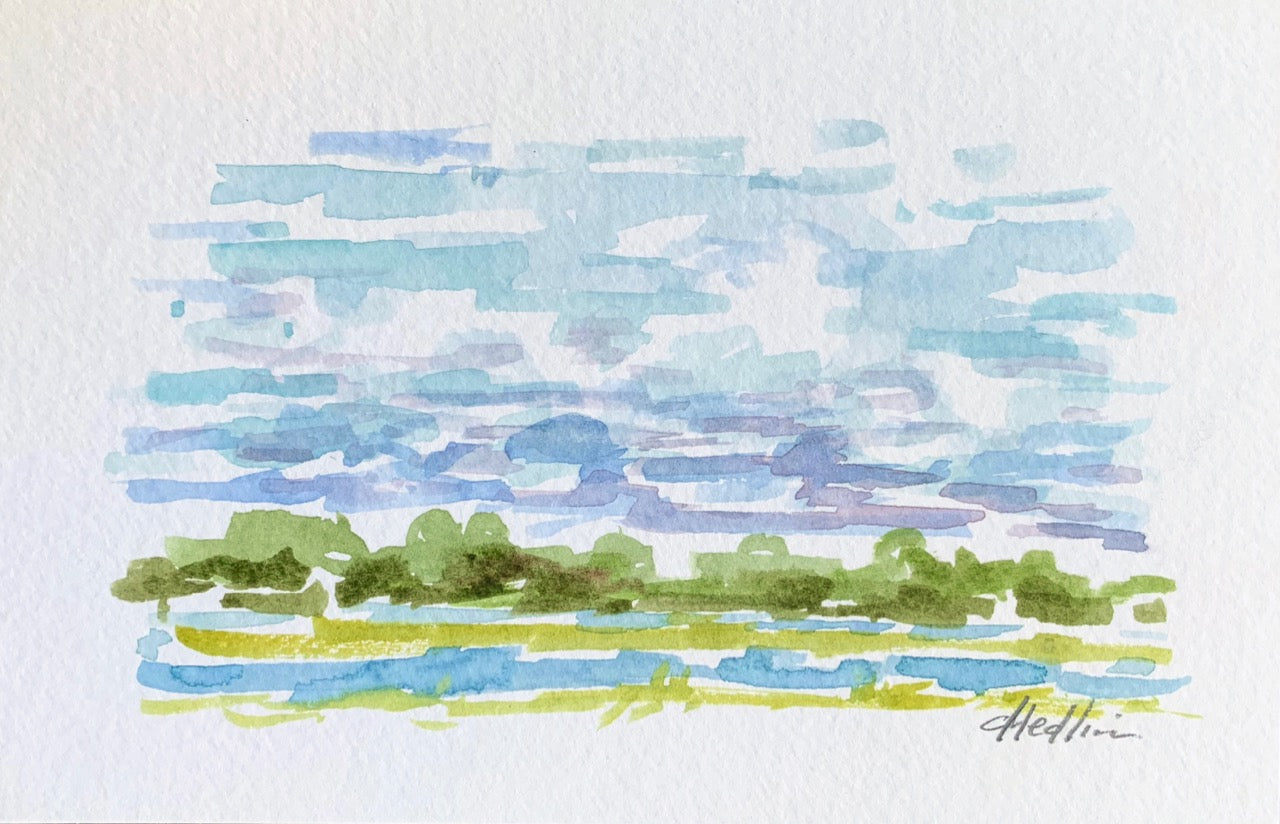 Lowcountry I