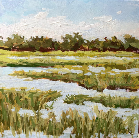 Marsh Tide