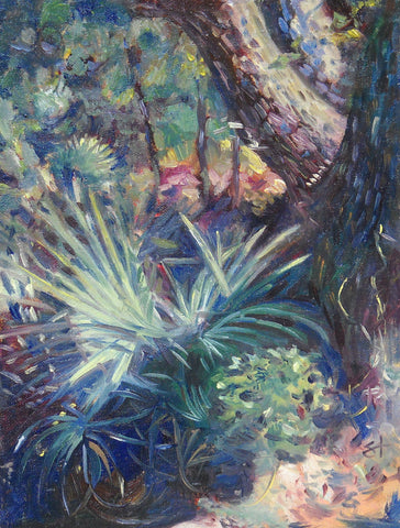 Palmetto Forest