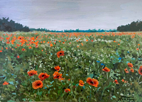 Poppy Field