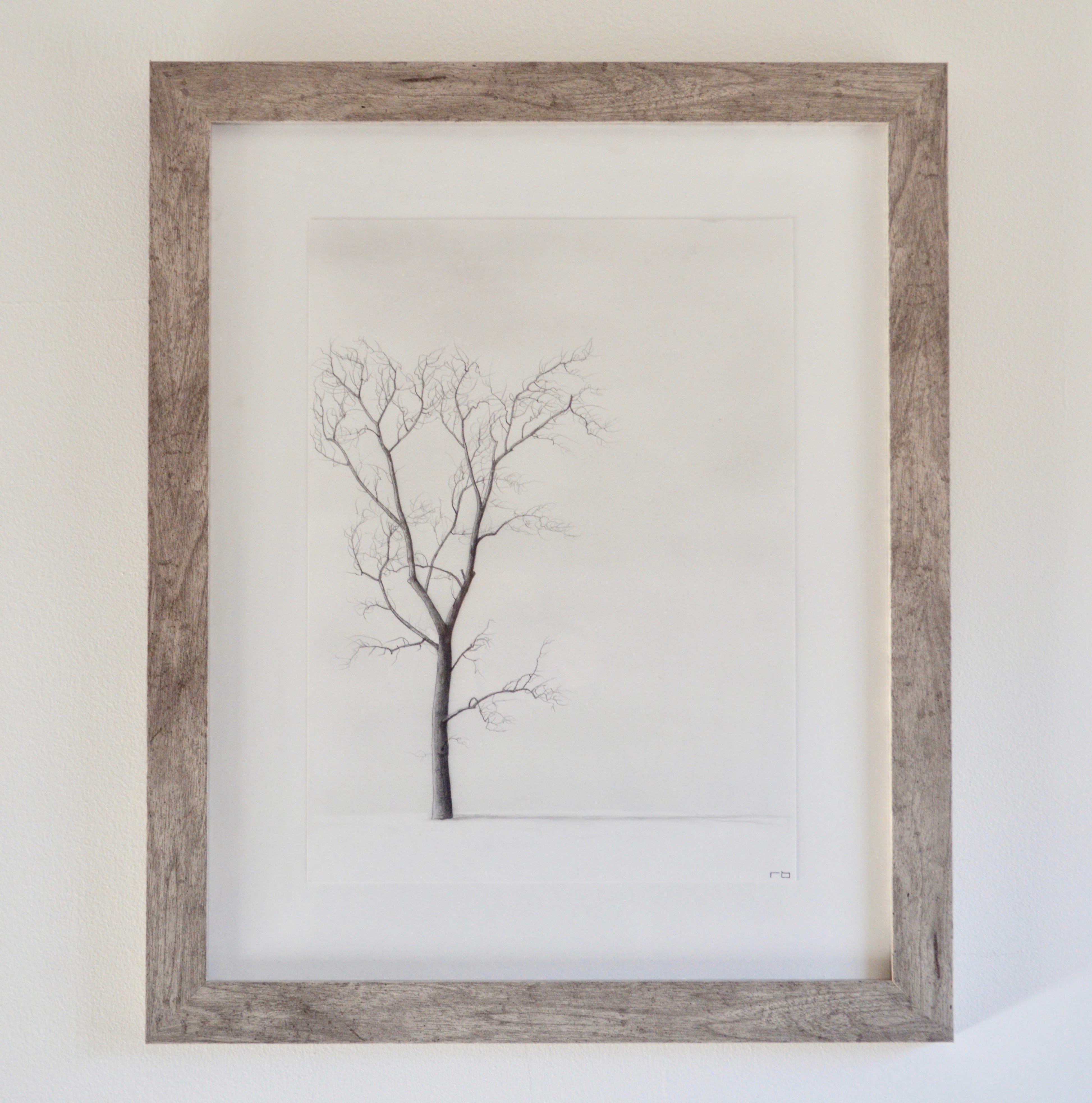 Tree Study