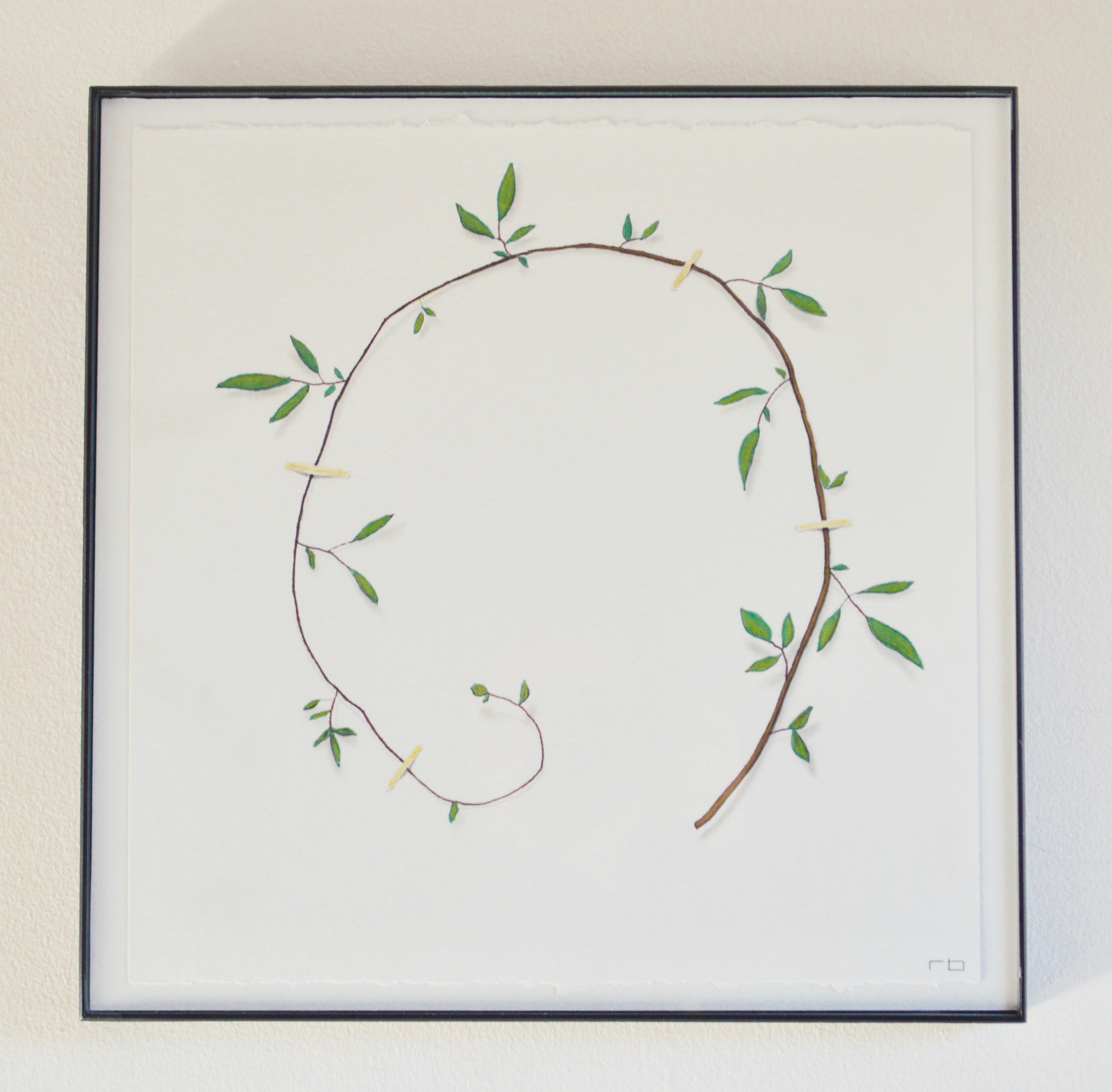 Vine Study