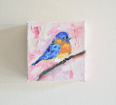 Bluebird in Pink