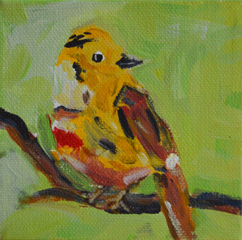 Yellowhammer