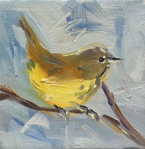 Nashville Warbler