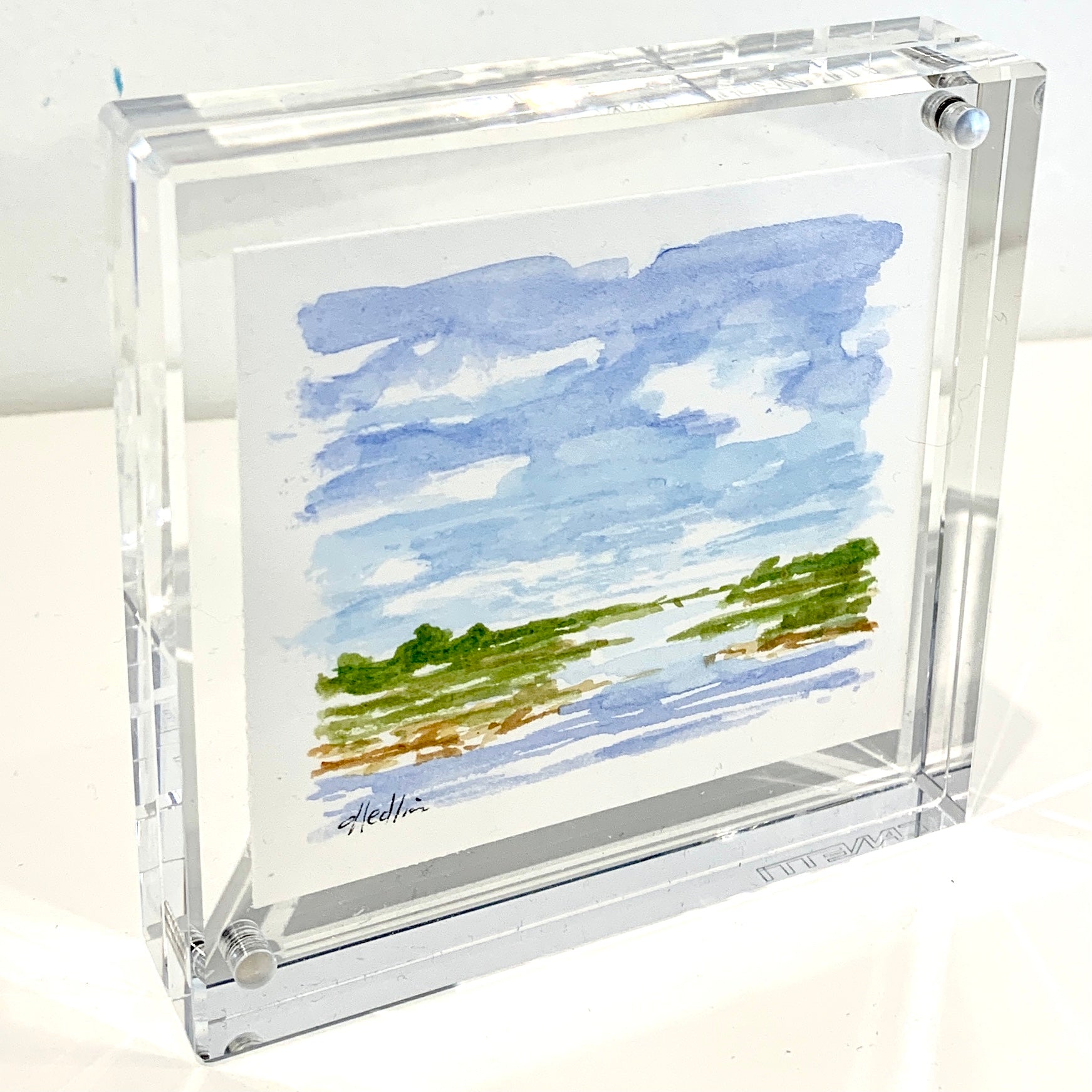 Tidal Marsh XVI