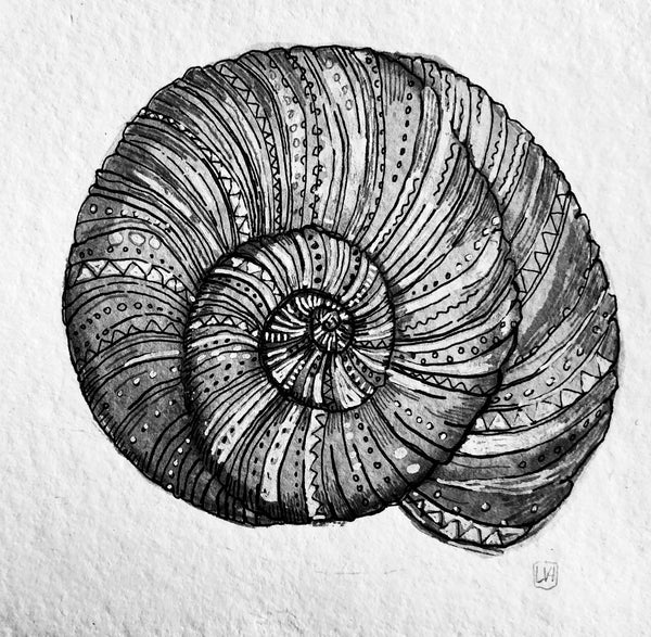 Abstract Ink Shell Artist Shell – Artist Collectives