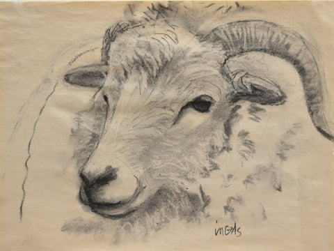 Sheep Study I